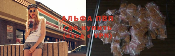 индика Арсеньев