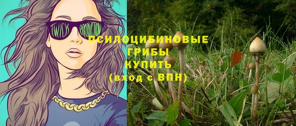 эйфоретик Аркадак