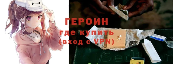 индика Арсеньев
