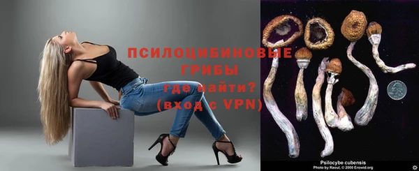 мяу мяу мука Осташков