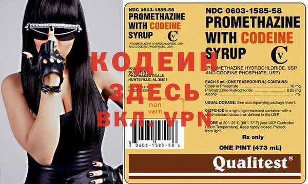 индика Арсеньев