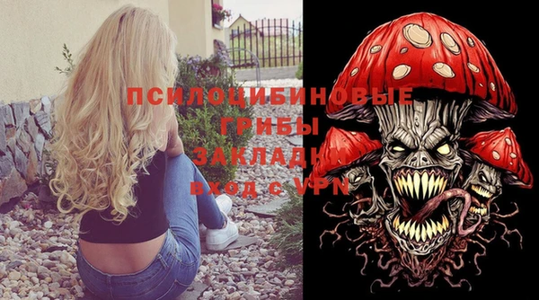 индика Арсеньев