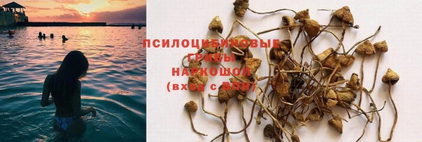 эйфоретик Аркадак