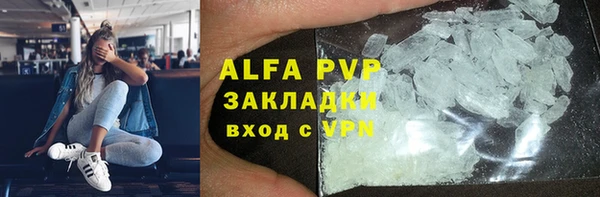 индика Арсеньев