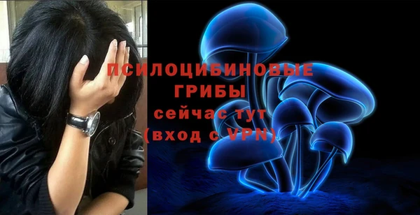 индика Арсеньев