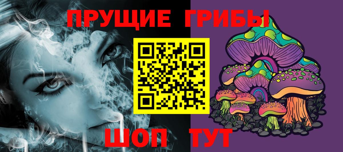 Галлюциногенные грибы Psilocybine cubensis  Псилоцибиновые грибы мицелий  Лобня 