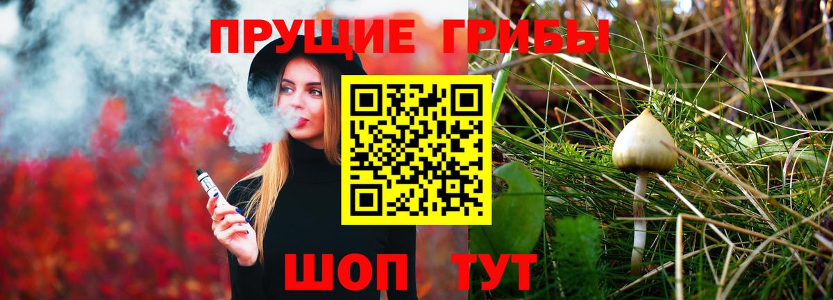 Лобня  Псилоцибиновые грибы Cubensis  Вход с VPN 